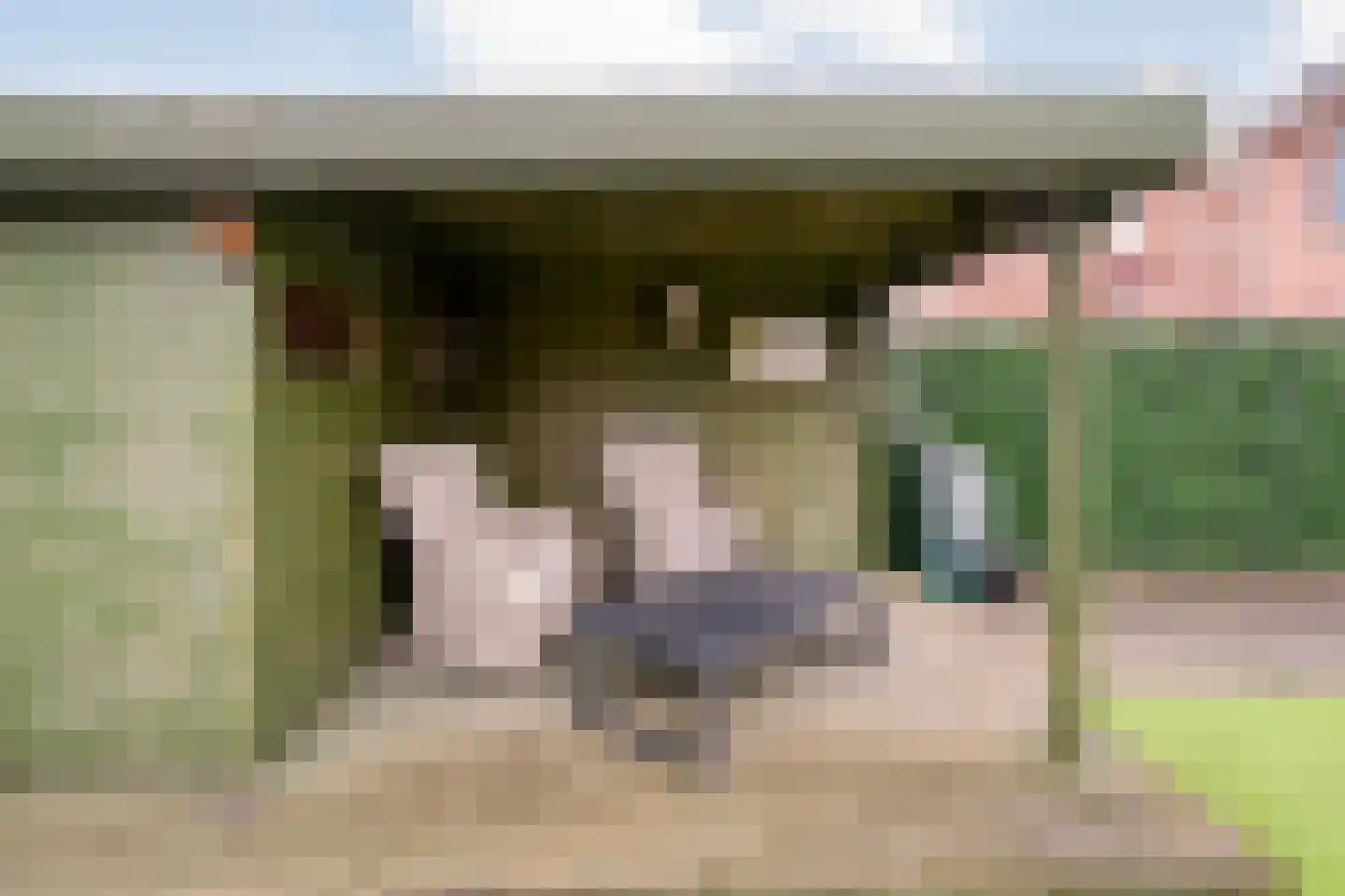 Reiger 96 Raalte thumbnail 38