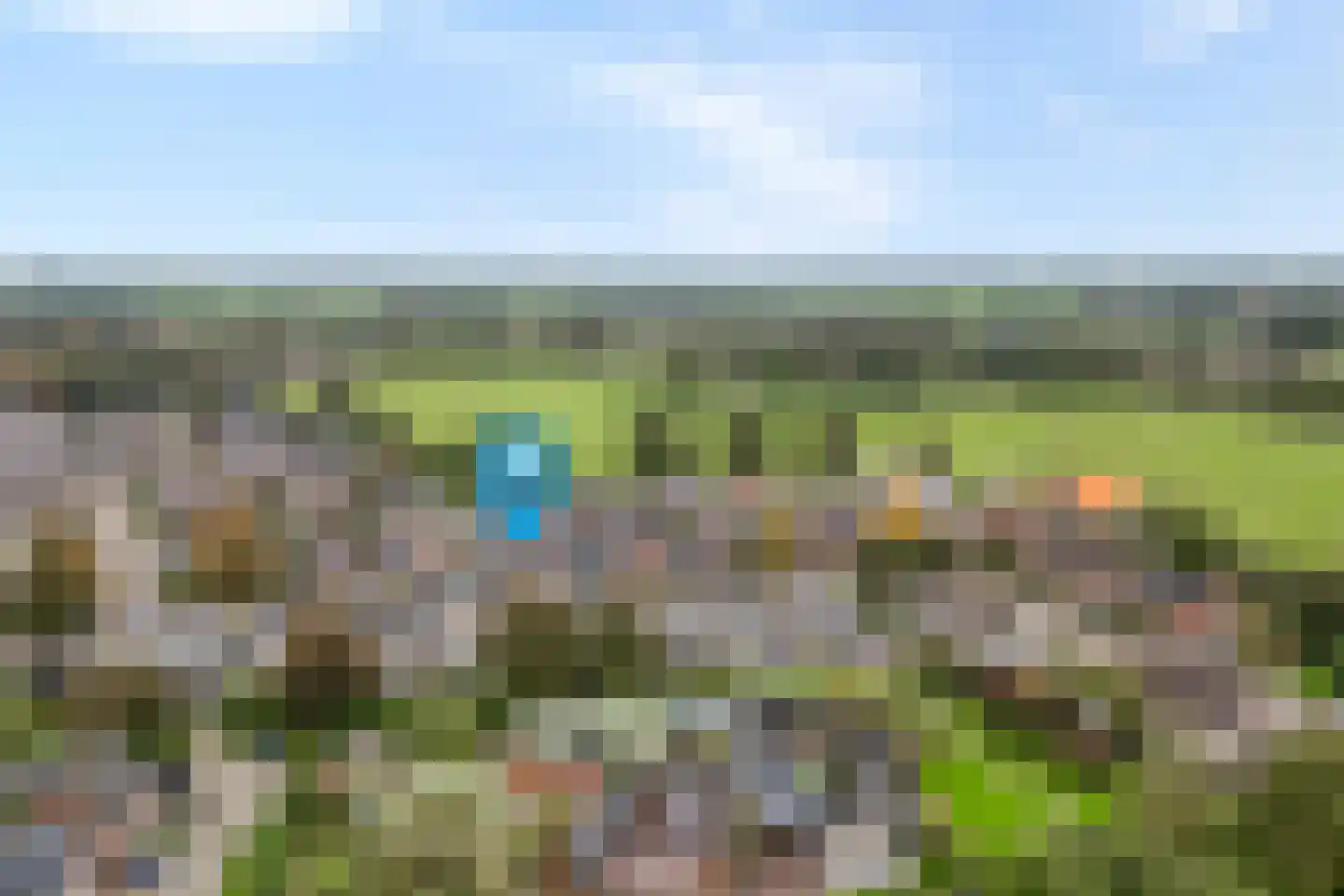 Reiger 96 Raalte thumbnail 6