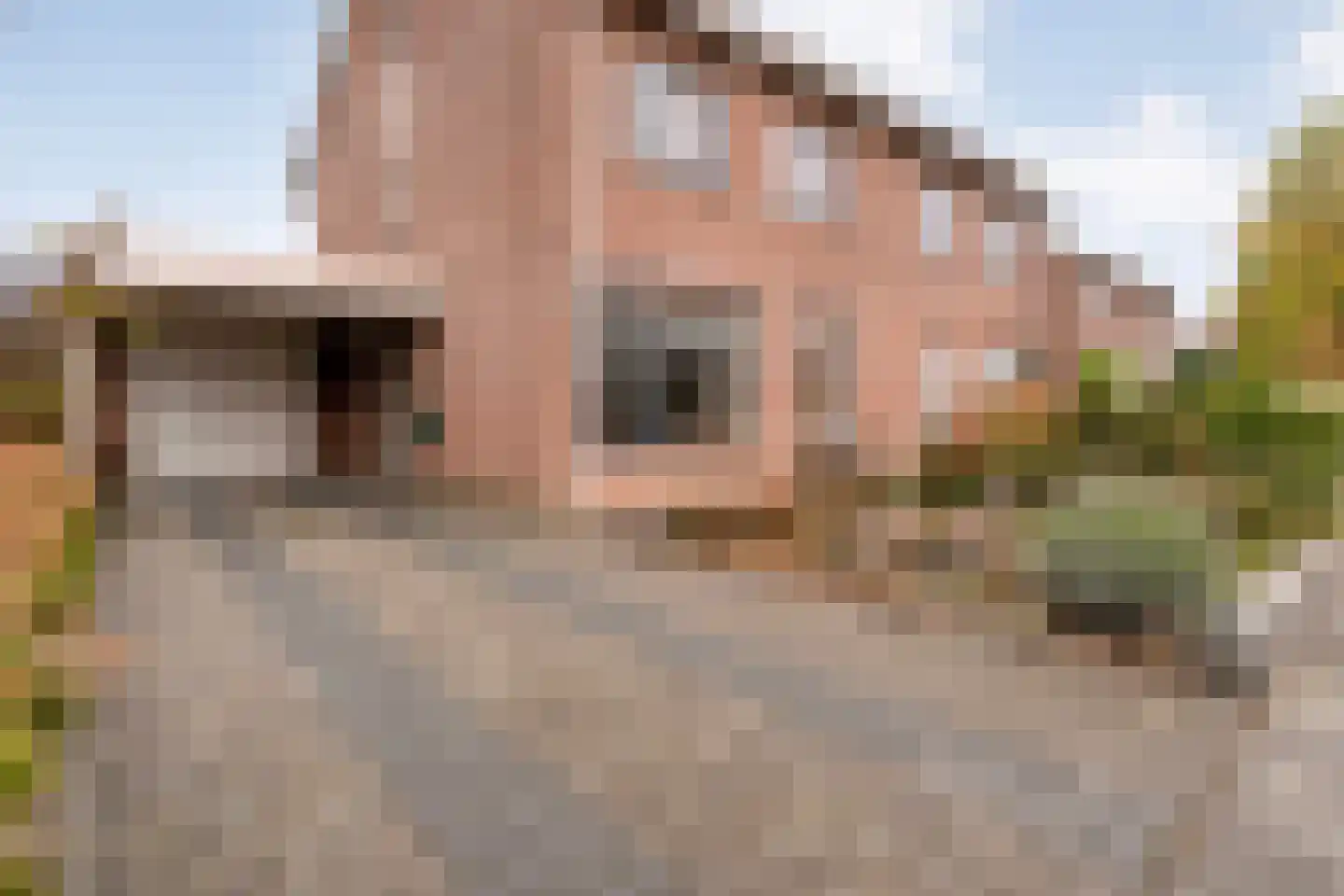 Reiger 96 Raalte thumbnail 8