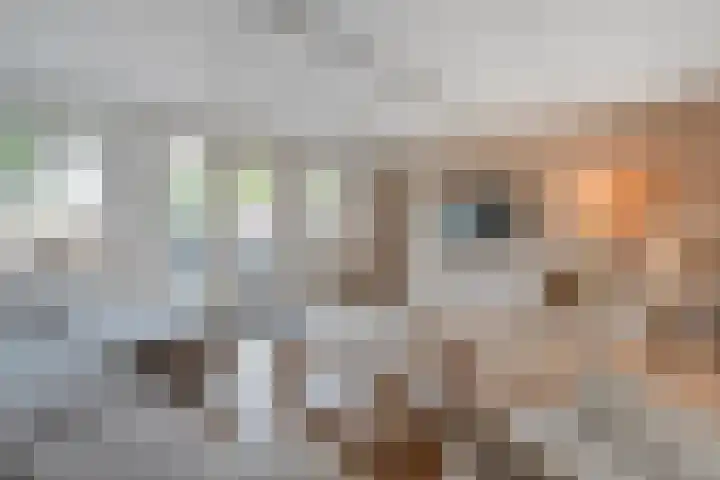 Reiger 97 Raalte thumbnail 11