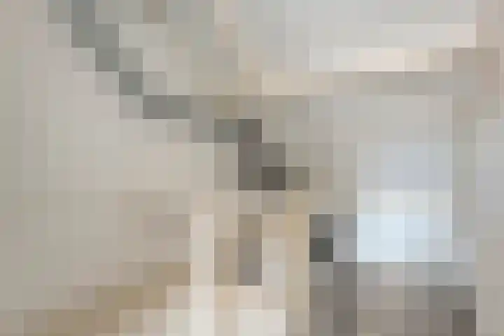 Reiger 97 Raalte thumbnail 28