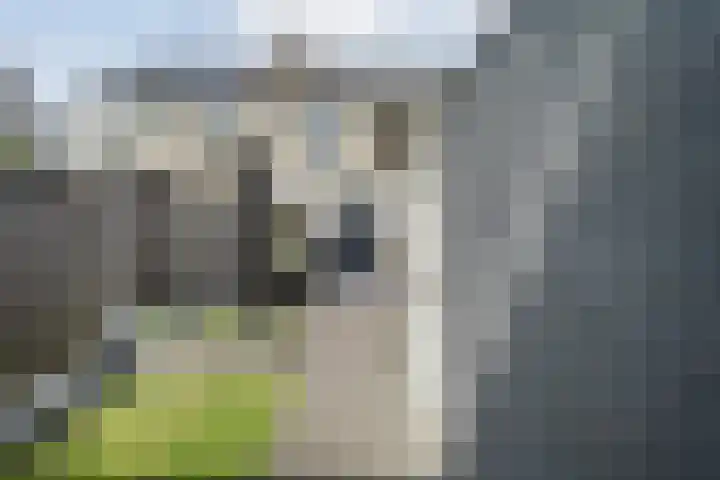 Reiger 97 Raalte thumbnail 32