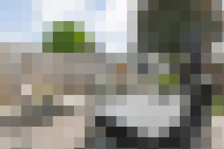 Reiger 97 Raalte thumbnail 34