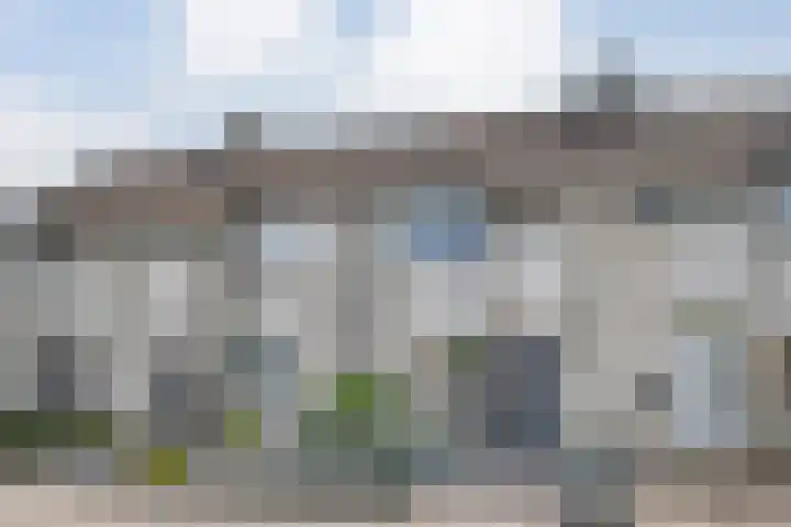 Reiger 97 Raalte thumbnail 4