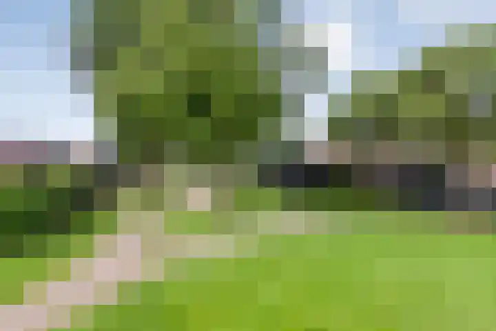 Reiger 97 Raalte thumbnail 41