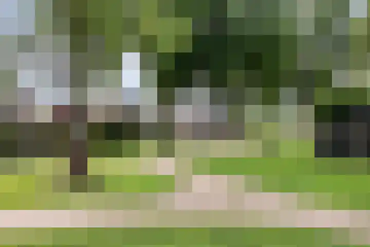 Reiger 97 Raalte thumbnail 42