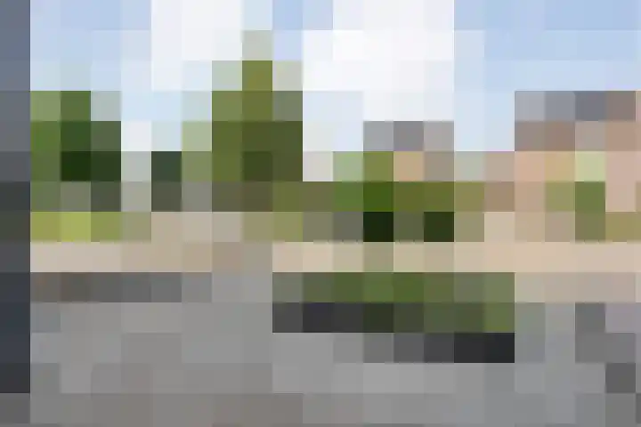 Reiger 97 Raalte thumbnail 43