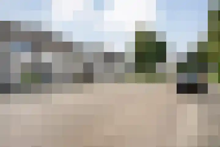 Reiger 97 Raalte thumbnail 45
