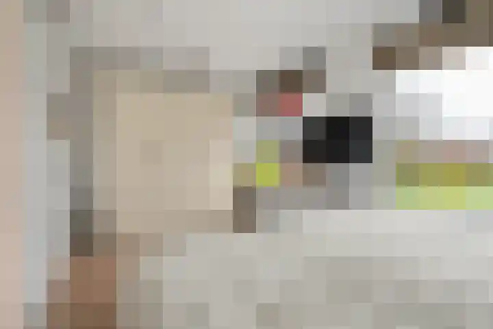 Reigerlaan 22 Bilthoven thumbnail 22