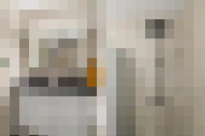 Reigerlaan 22 Bilthoven thumbnail 25