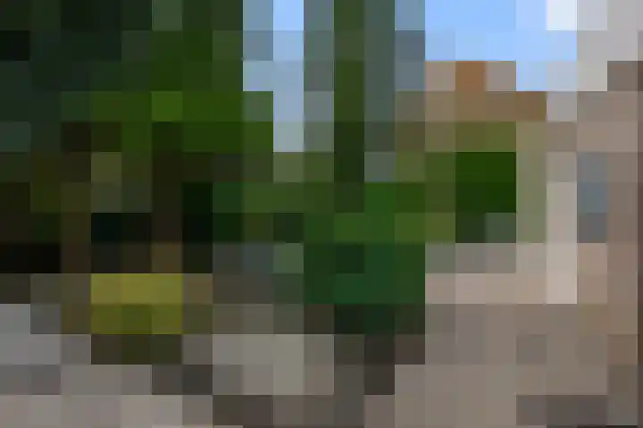 Reigerpark 25 Purmerend thumbnail 30