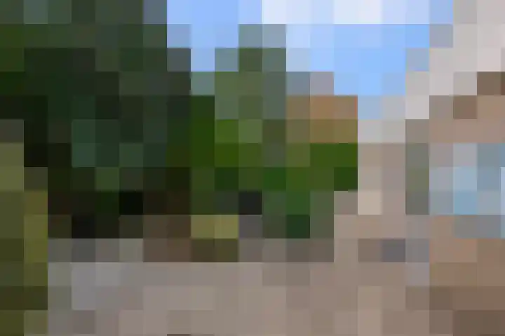 Reigerpark 25 Purmerend thumbnail 33