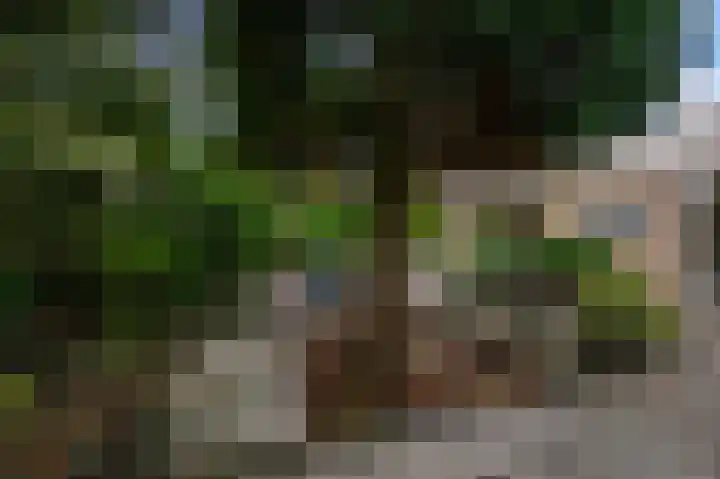 Reigerpark 25 Purmerend thumbnail 34