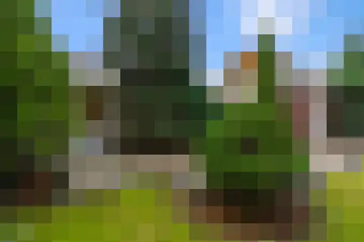 Reigerpark 25 Purmerend thumbnail 37
