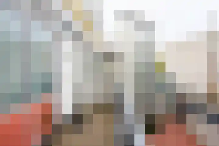 Reigersbos 217 Amsterdam thumbnail 15