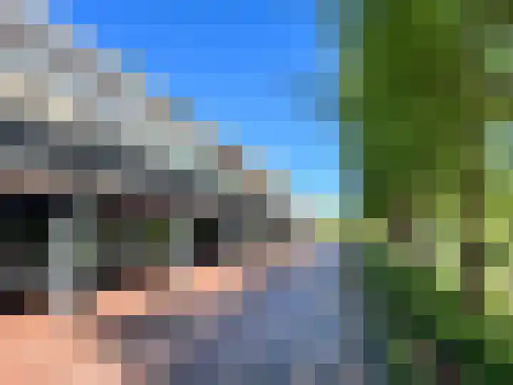 Reigersbos 217 Amsterdam thumbnail 19