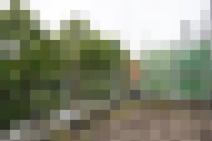 Reigersbos 217 Amsterdam thumbnail 7