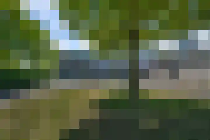 Reigersbos 237 Amsterdam thumbnail 22