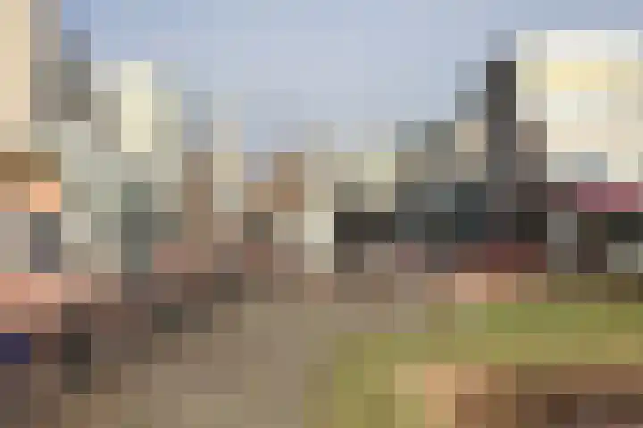 Reigersbos 237 Amsterdam thumbnail 23