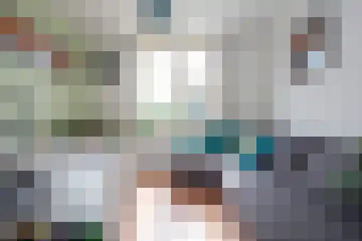 Reigersbosch 9 Middenbeemster thumbnail 32