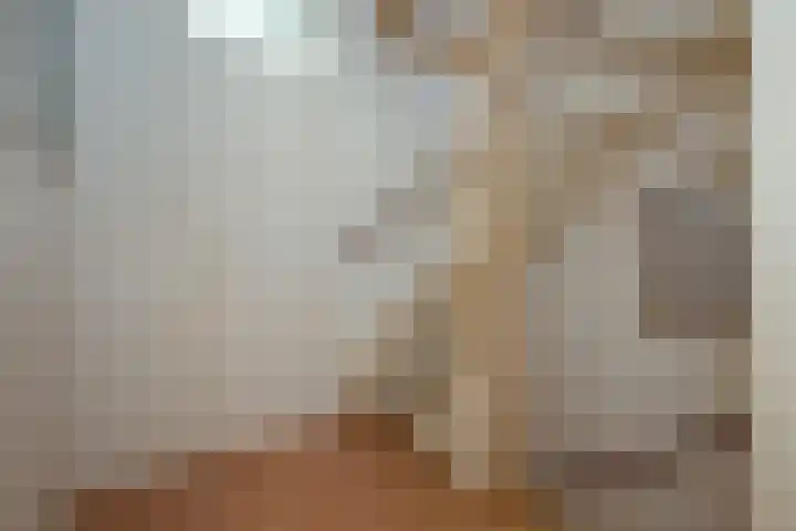 Reigersbosch 9 Middenbeemster thumbnail 35