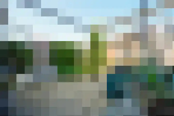 Reigersbosch 9 Middenbeemster thumbnail 46