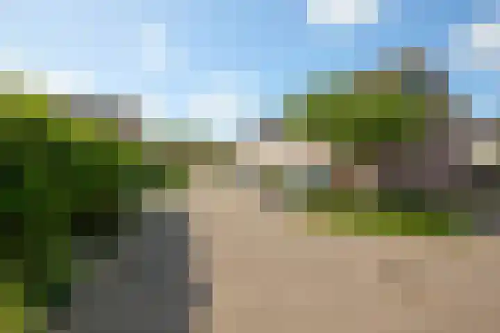 Reigersbosch 9 Middenbeemster thumbnail 8