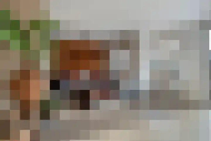 Reigersdreef 30 Streefkerk thumbnail 13
