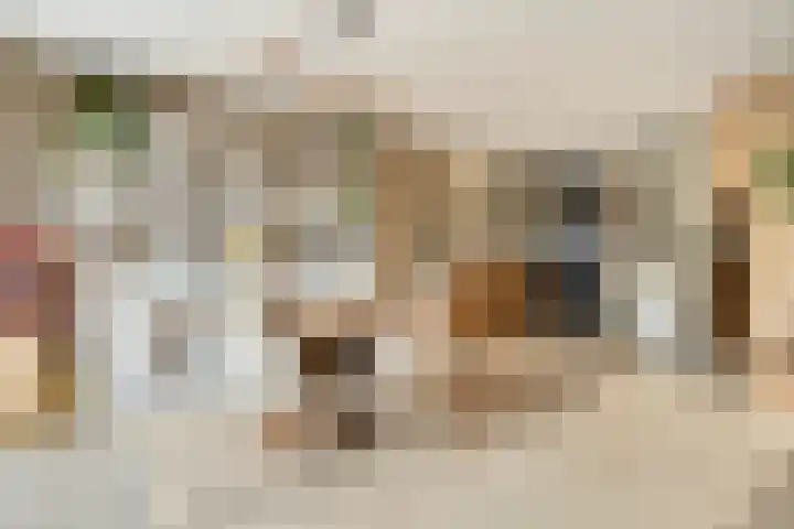 Reigersdreef 30 Streefkerk thumbnail 19