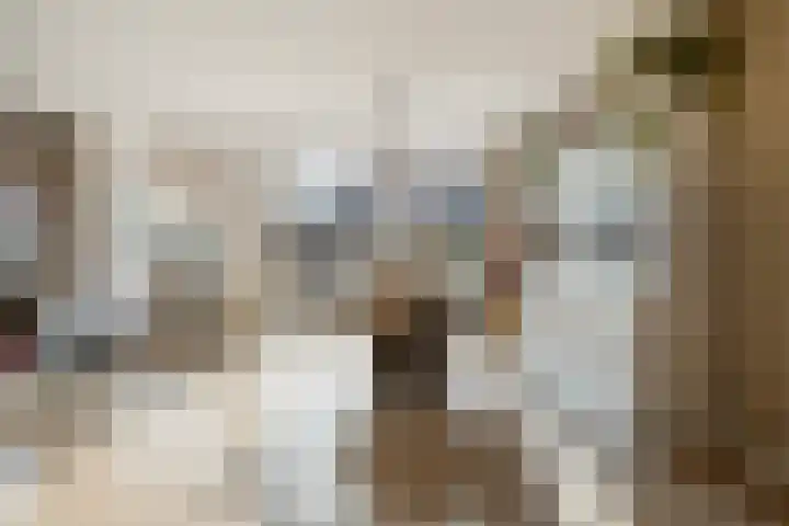 Reigersdreef 30 Streefkerk thumbnail 20