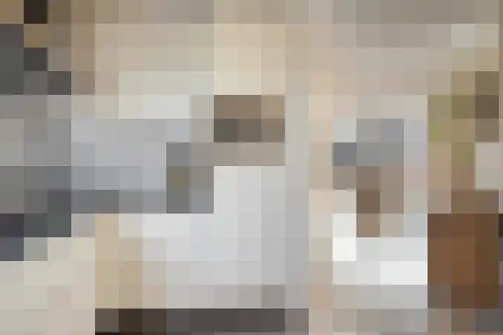 Reigersdreef 30 Streefkerk thumbnail 23