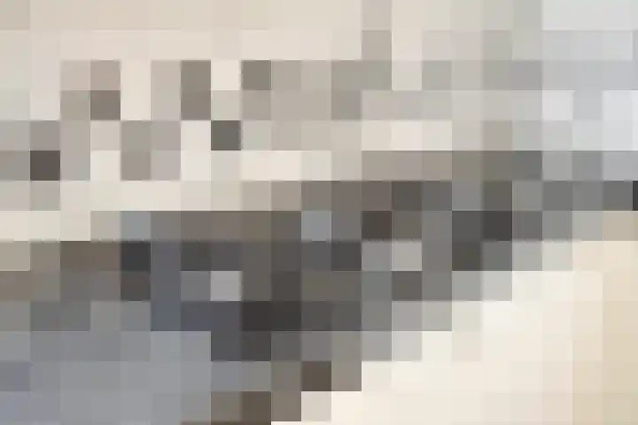 Reigersdreef 30 Streefkerk thumbnail 24