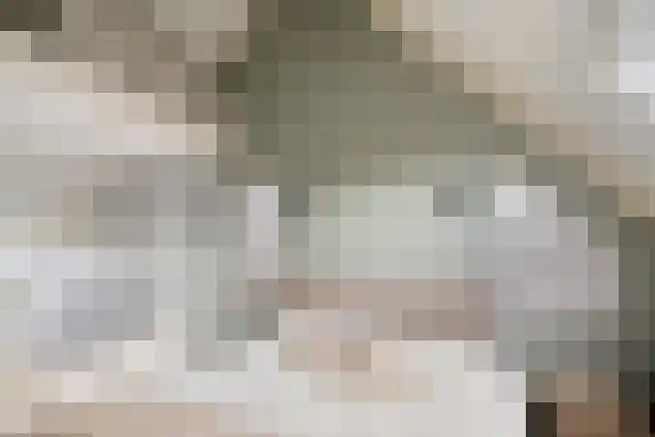 Reigersdreef 30 Streefkerk thumbnail 34