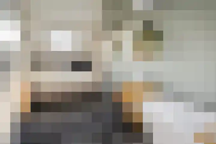 Reigersdreef 30 Streefkerk thumbnail 37