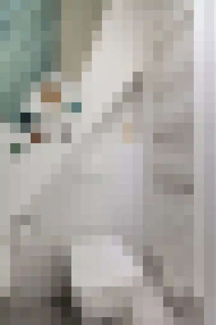 Reigersdreef 30 Streefkerk thumbnail 46