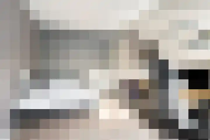 Reigersdreef 30 Streefkerk thumbnail 49