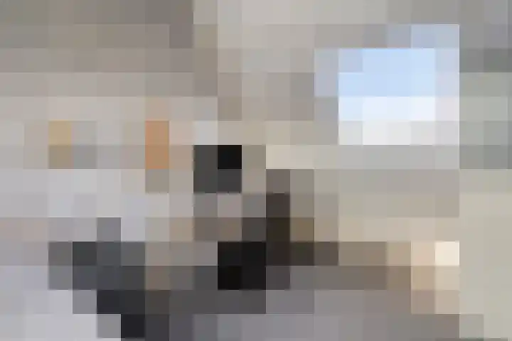 Reigersdreef 30 Streefkerk thumbnail 54