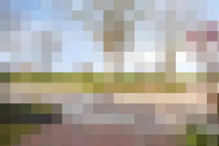 Reigersdreef 30 Streefkerk thumbnail 6