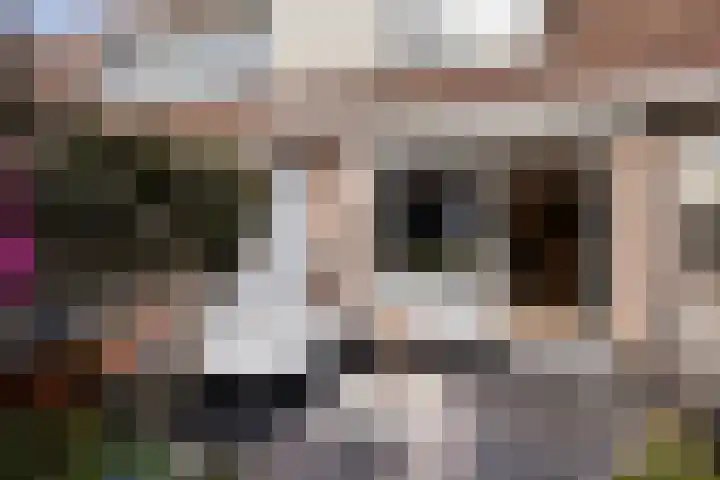 Reigersdreef 30 Streefkerk thumbnail 62