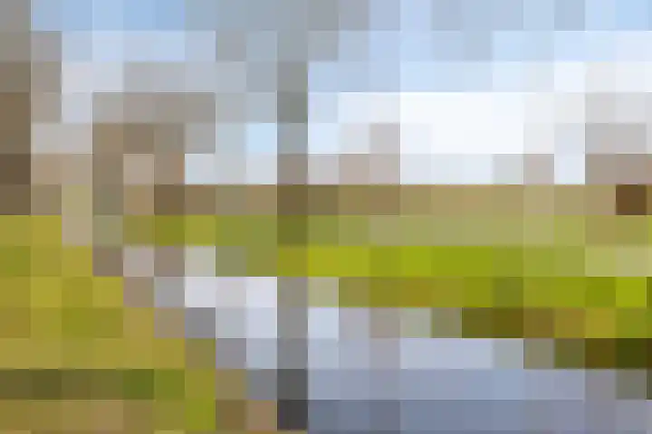 Reigersdreef 30 Streefkerk thumbnail 63