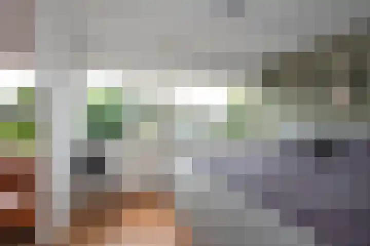Reigershof 6 Borne thumbnail 16