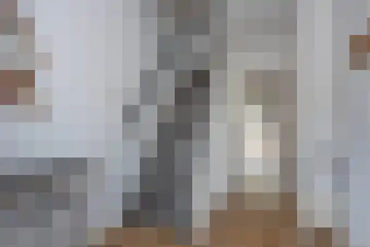 Reigershof 6 Borne thumbnail 6