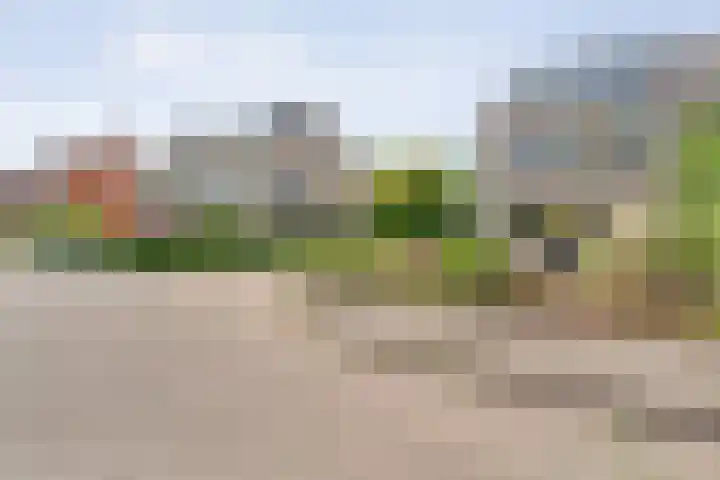 Reigerstraat 122 Ommen thumbnail 6