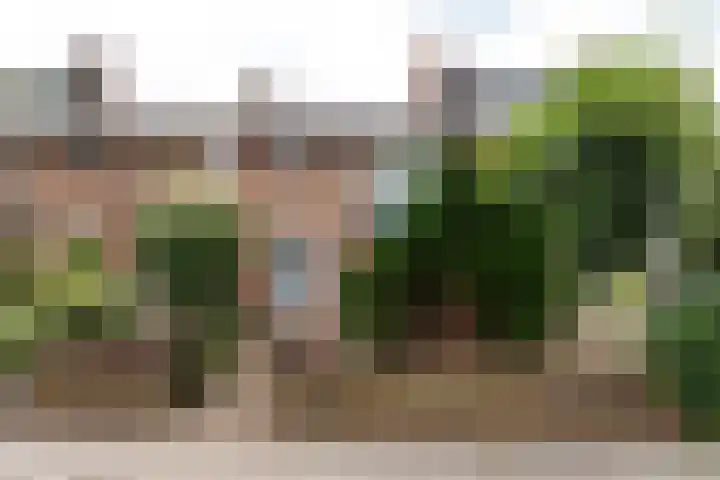 Reigerstraat 13 Baarn thumbnail 32
