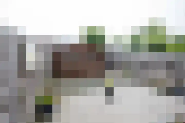 Reigerstraat 3 Katwijk thumbnail 20