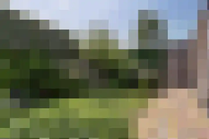 Reigerstraat 5 Katwijk thumbnail 37