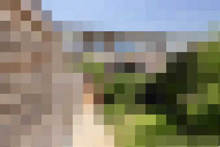 Reigerstraat 5 Katwijk thumbnail 38