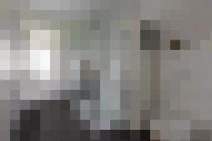 Reigersweide 148 Weesp thumbnail 15
