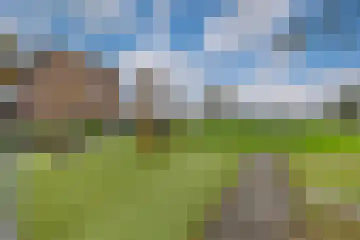 Reigersweide 148 Weesp thumbnail 27