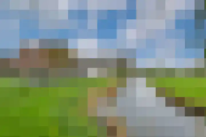 Reigersweide 148 Weesp thumbnail 29